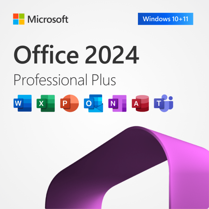 Microsoft Office 2024 Professional Plus
